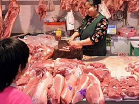 Các nước Đông Nam Á ráo riết ngăn chặn virus dịch tả lợn châu Phi xâm nhập
